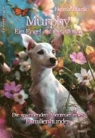 bokomslag Murphy - Ein Engel auf vier Pfoten - Die spannenden Abenteuer eines Familienhundes - Erinnerungen