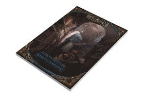 Eevie Demirtel, Thorsten Most, Jens Ullrich, Ulrich Kiesow, Marie Mönkemeyer, Wolf-Ulrich Schnurr und Alex Spohr, mit Beiträgen von Zoe Adamietz, David Gottschall, Dominic Hladek, Nikolai Hoch, Johannes Kaub, Jeanette Marsteller - DSA5 - Aventurische Bibliothek (Taschenbuch), Häftad