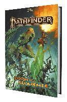 Pathfinder 2 - Zorn der Elemente 1