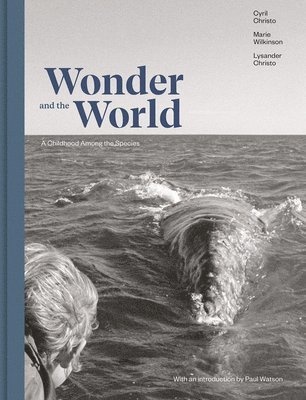 Wonder and the World 1