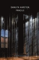 bokomslag Danuta Karsten: Fragile