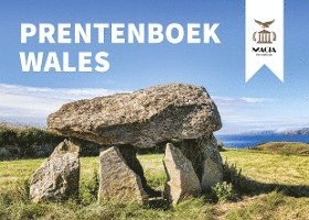 bokomslag Prentenboek Wales