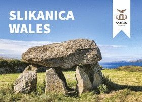 Slikanica Wales 1