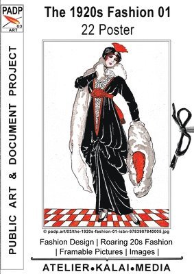 bokomslag 1920s Fashion 01 22 Poster