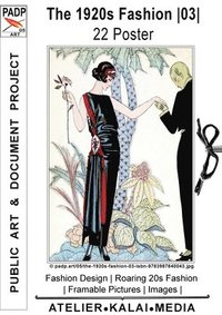 bokomslag The 1920s Fashion 03 22 Poster