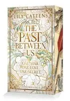 Lily Cattens - The past between us, Häftad. Tillgänglighet: Lägg i varukorg