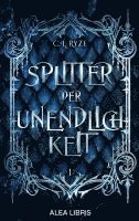 bokomslag Splitter der Unendlichkeit