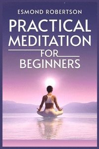 bokomslag Practical Meditation for Beginners