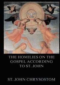 bokomslag Homilies On The Gospel According To St. John