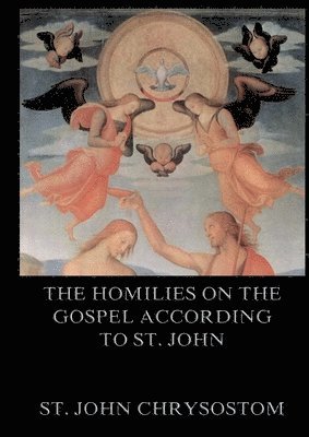 bokomslag Homilies On The Gospel According To St. John
