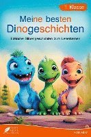 bokomslag Silbenbuch 1. Klasse - Meine besten Dinogeschichten