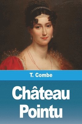 Château Pointu