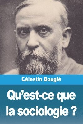 bokomslag Qu'est-ce que la sociologie ?