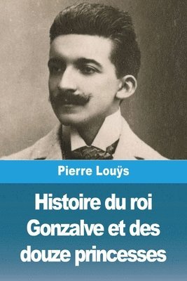 bokomslag Histoire du roi Gonzalve et des douze princesses