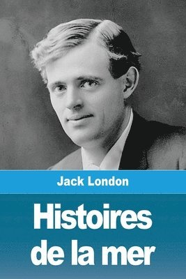 bokomslag Histoires de la mer