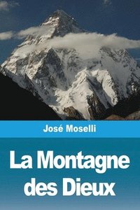 bokomslag La Montagne des Dieux