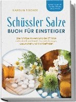 bokomslag Schüssler Salze Buch für Einsteiger: Die richtige Anwendung der 27 Salze individuell und leicht für mehr Energie, Gesundheit und Wohlbefinden - Schritt für Schritt von der Theorie bis zur Praxis