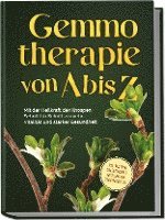 bokomslag Gemmotherapie von A bis Z: Mit der Heilkraft der Knospen Schritt für Schritt zu mehr Vitalität und starker Gesundheit - inkl. Anleitung zum Eigenanbau & Herstellung von Gemmotherapeutika