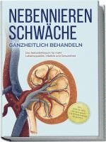 bokomslag Nebennierenschwäche ganzheitlich behandeln: Das Selbsthilfebuch für mehr Lebensqualität, Vitalität und Gesundheit - inkl. Lifestyle-Check, Stressmanagement und Ernährungsguide mit Rezepten