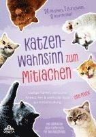 bokomslag Katzen-Wahnsinn zum Mitlachen