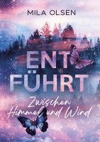 bokomslag Entführt - Zwischen Himmel und Wind