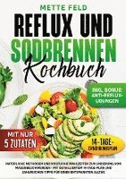 bokomslag Reflux und Sodbrennen Kochbuch