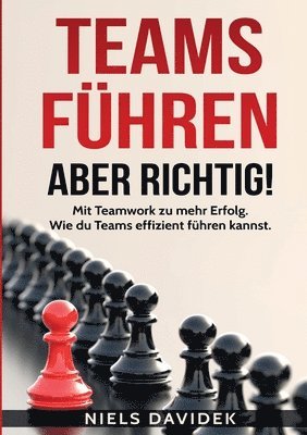 bokomslag Teams fhren - aber richtig!