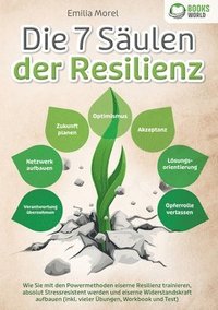 bokomslag Die 7 Säulen der Resilienz: Wie Sie mit den Powermethoden eiserne Resilienz trainieren, absolut Stressresistent werden und eiserne Widerstandskraft au