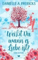 bokomslag Weißt du wann es Liebe ist?