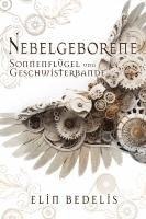 bokomslag Sonnenflügel und Geschwisterbande