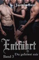 bokomslag Baur, J: Entführt