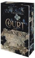bokomslag Court of Darkness