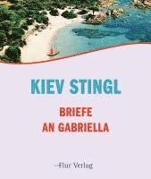 bokomslag Briefe an Gabriella