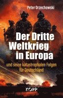 bokomslag Der Dritte Weltkrieg in Europa