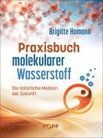 bokomslag Praxisbuch molekularer Wasserstoff