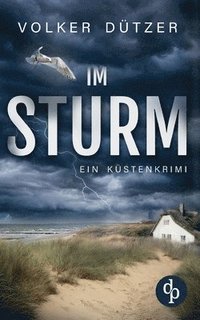 bokomslag Im Sturm Ein spannender Küstenkrimi um den Ermittler Steve Cole