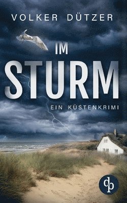 bokomslag Im Sturm