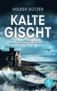 bokomslag Kalte Gischt Ein spannender Krimi an der Küste Cornwalls