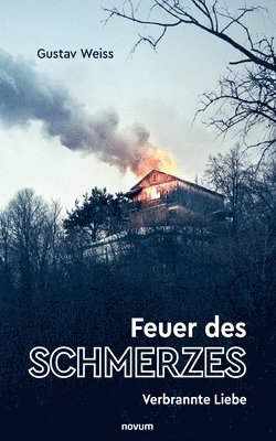 bokomslag Feuer des Schmerzes