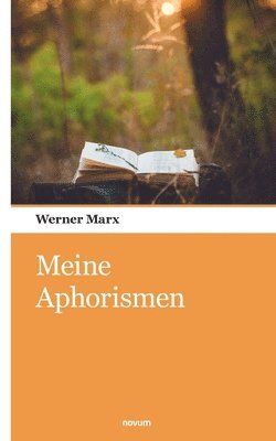 Meine Aphorismen 1