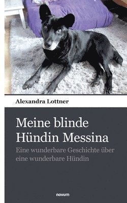 bokomslag Meine blinde Hndin Messina