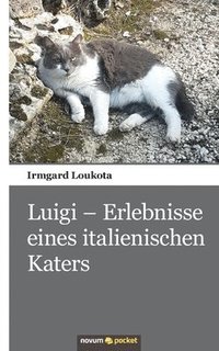 bokomslag Luigi - Erlebnisse eines italienischen Katers