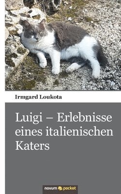 bokomslag Luigi - Erlebnisse eines italienischen Katers