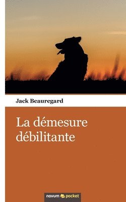 bokomslag démesure débilitante