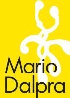 Mario Dalpra - THE MYSTICAL SUBSTANCE, Inbunden