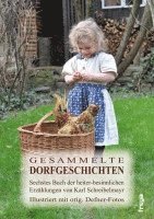 Gesammelte Dorfgeschichten 1