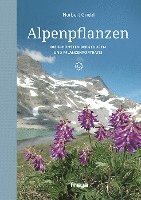 bokomslag Alpenpflanzen