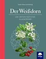 bokomslag Der Weißdorn