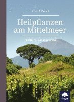 Astrid Süßmuth - Heilpflanzen am Mittelmeer, Inbunden