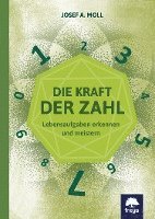 Die Kraft der Zahl 1